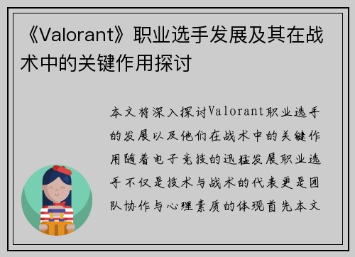 《Valorant》职业选手发展及其在战术中的关键作用探讨