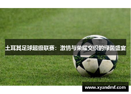 土耳其足球超级联赛:激情与荣耀交织的绿茵盛宴 土耳其足球超级联赛:激情与荣耀交织的绿茵盛宴