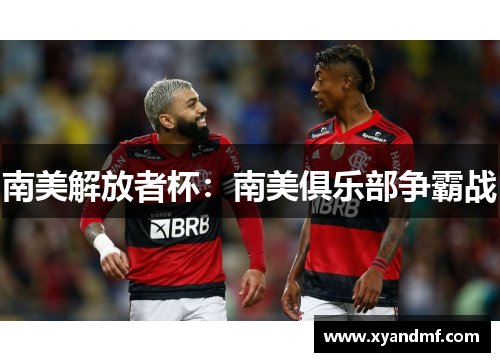 南美解放者杯:南美俱乐部争霸战 南美解放者杯:南美俱乐部争霸战