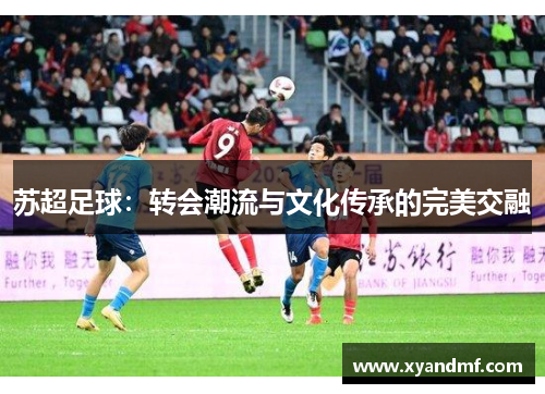 苏超足球:转会潮流与文化传承的完美交融 苏超足球:转会潮流与文化传承的完美交融